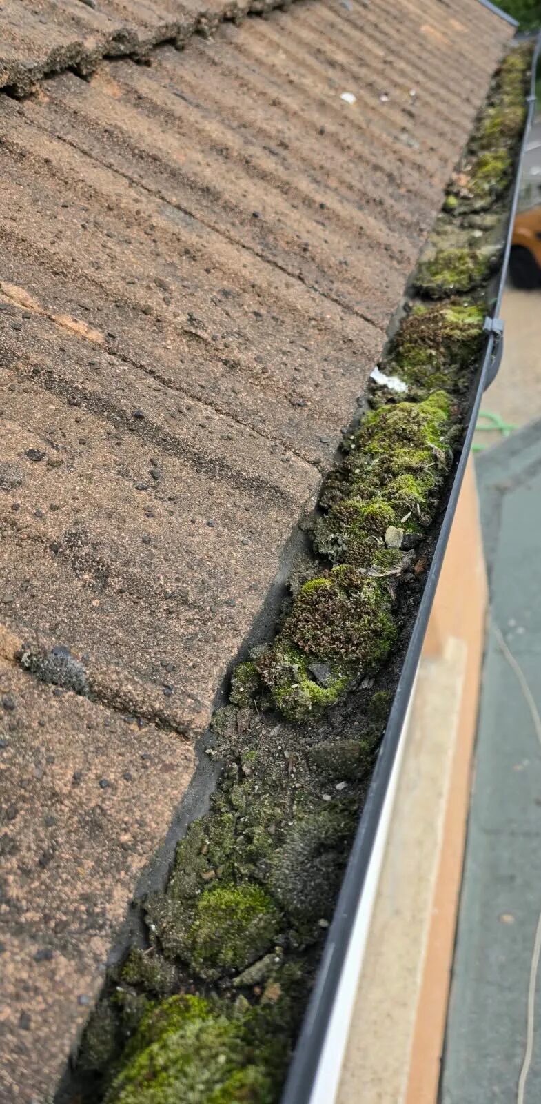 Peter's gutter packed with moss before Allbright cleared it